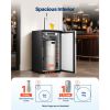 Beer Kegerator, Single Tap Commercial Draft Beer Dispenser for D system, Refrigerator With Shelves, Hold 1 Sixth Keg, 2.5lbs CO2 Tank, 92L